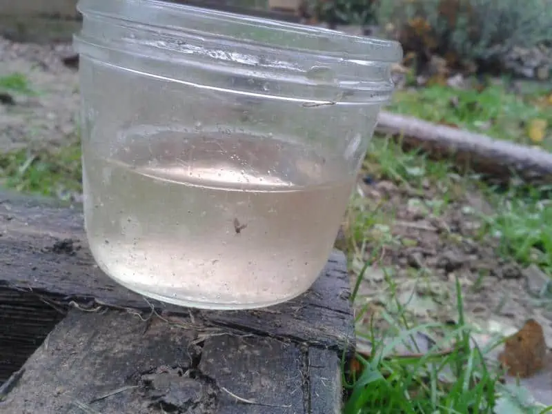 echantillon test de l'eau 4