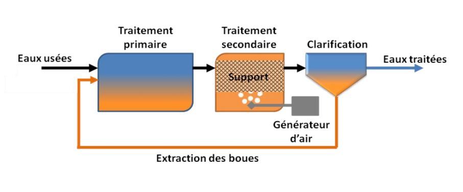 Microstation culture fixée