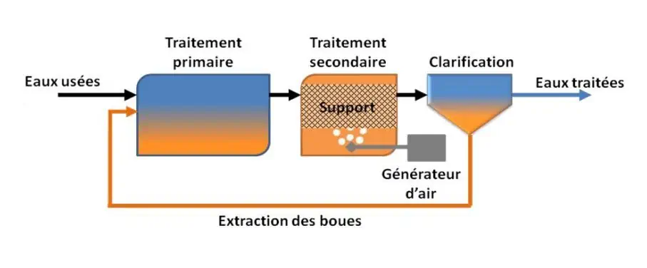 Microstation culture fixée