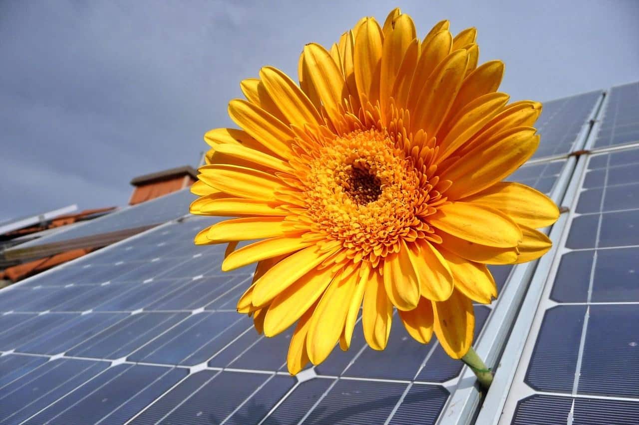 panneau solaire prix panneau solaire prix
